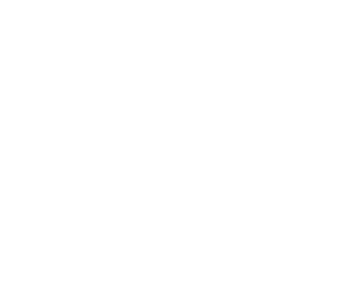 Expertise Best Homeowners Insurance Agencies in Albany Award Logo Inverse